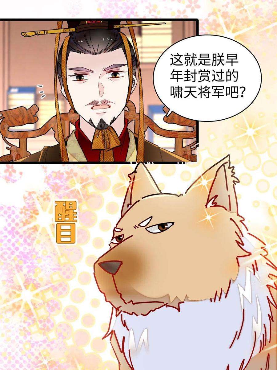 似锦229话 阿似，我话来啦！