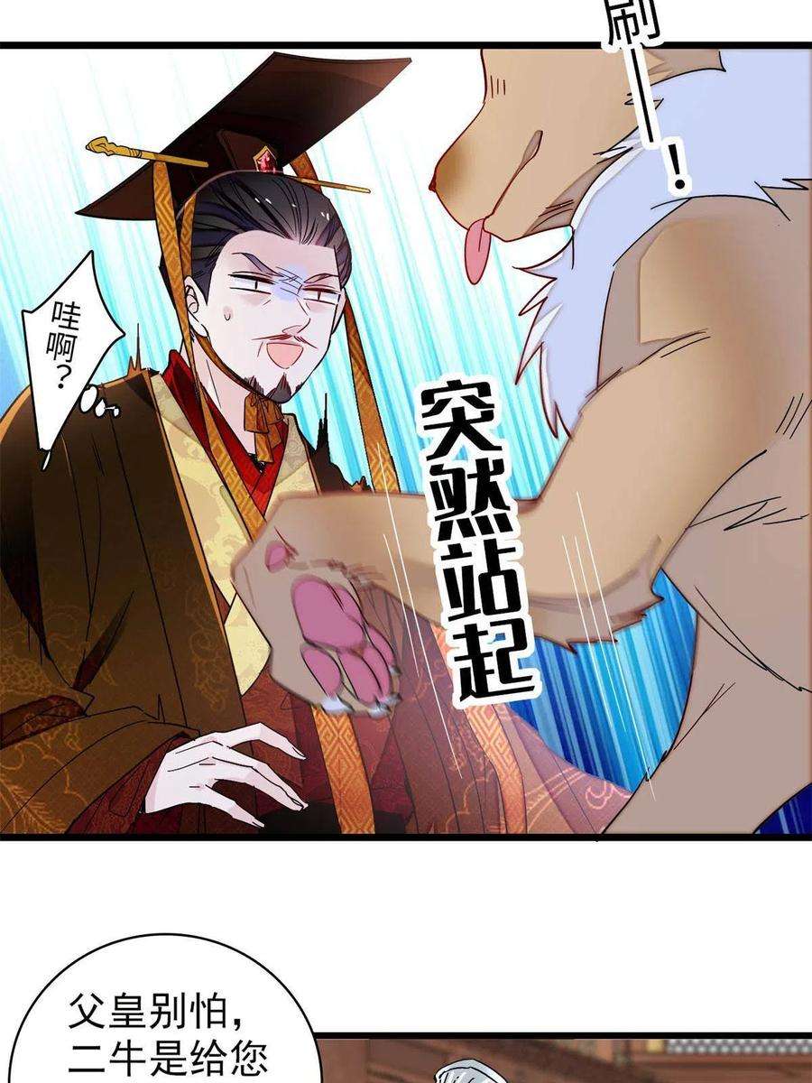 似锦229话 阿似，我话来啦！