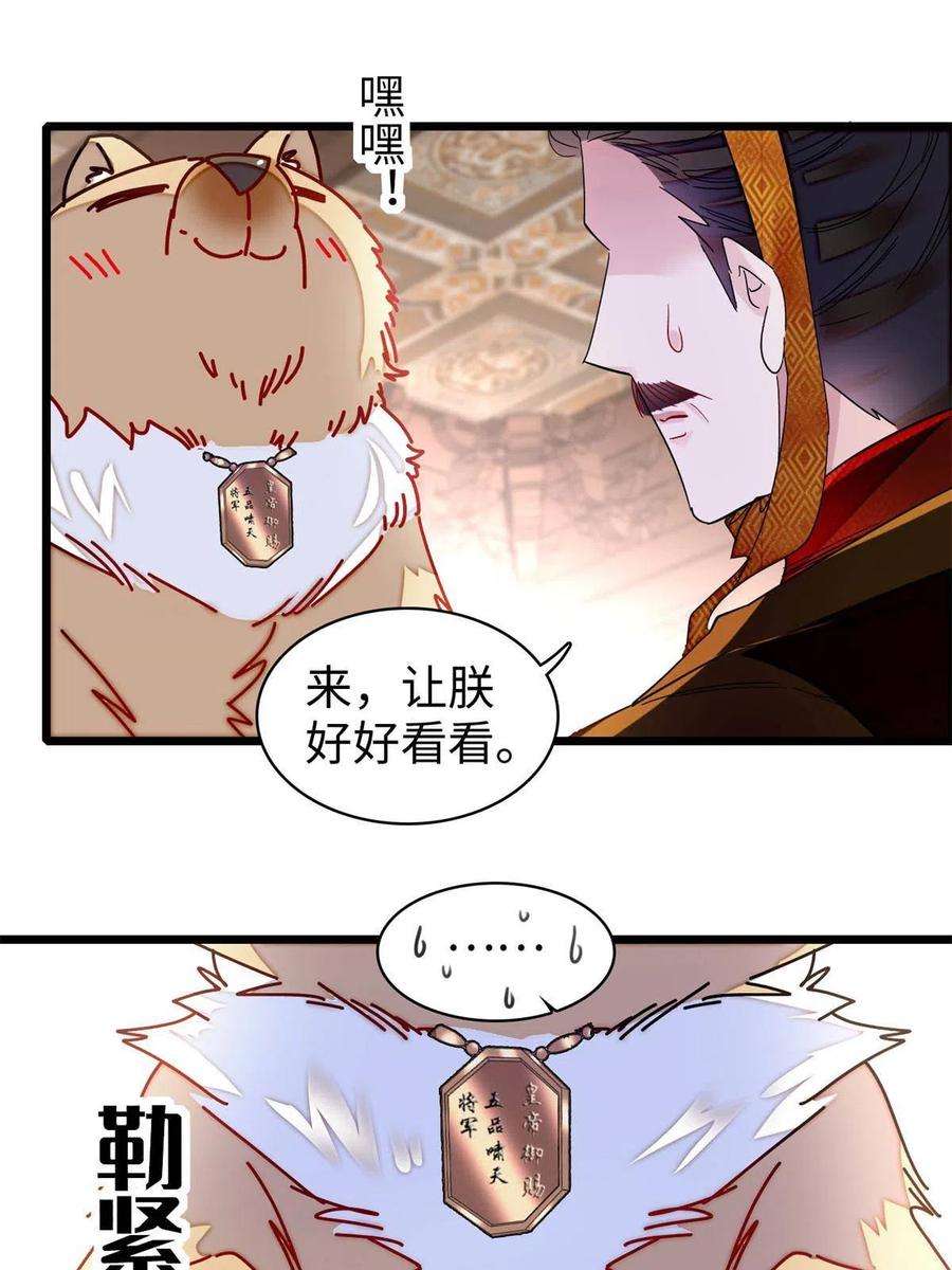 似锦229话 阿似，我话来啦！