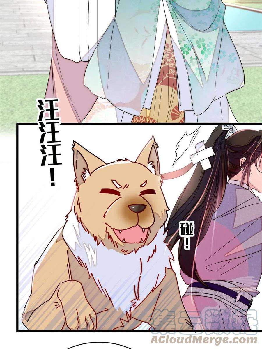 似锦229话 阿似，我话来啦！