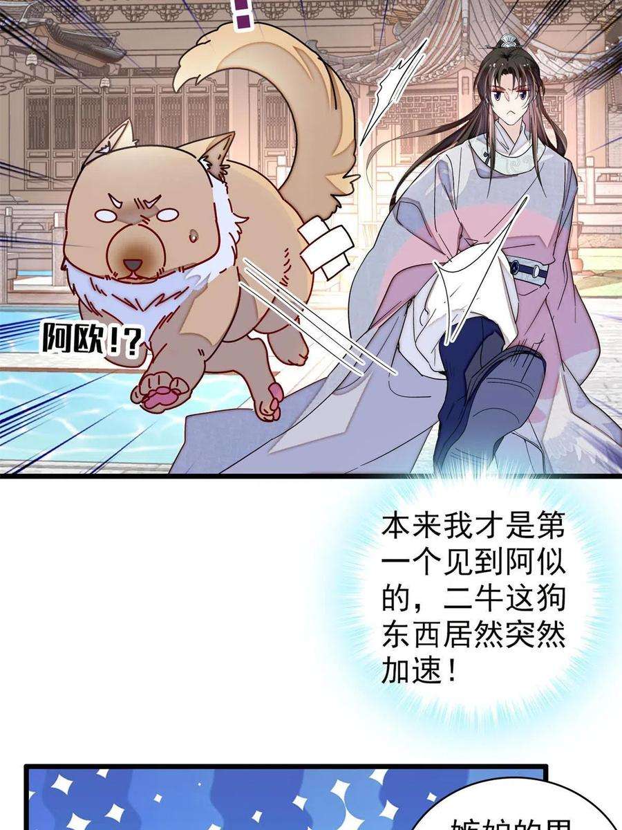 似锦229话 阿似，我话来啦！