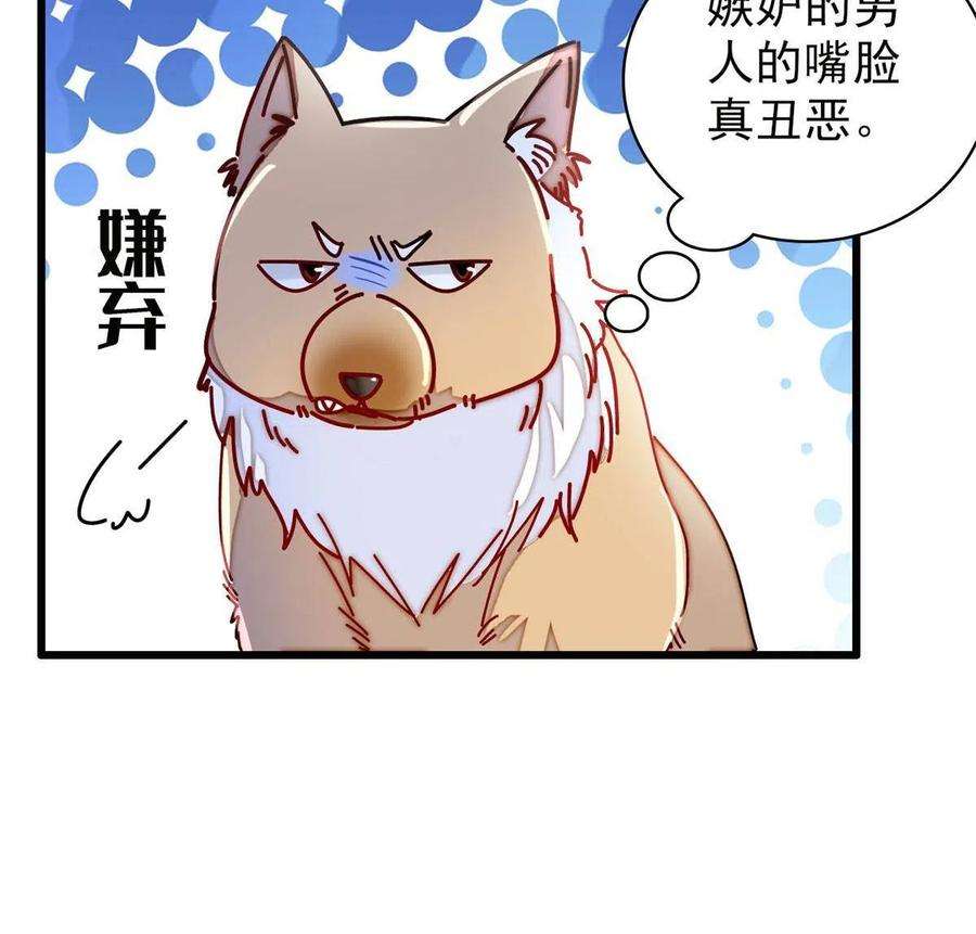 似锦229话 阿似，我话来啦！