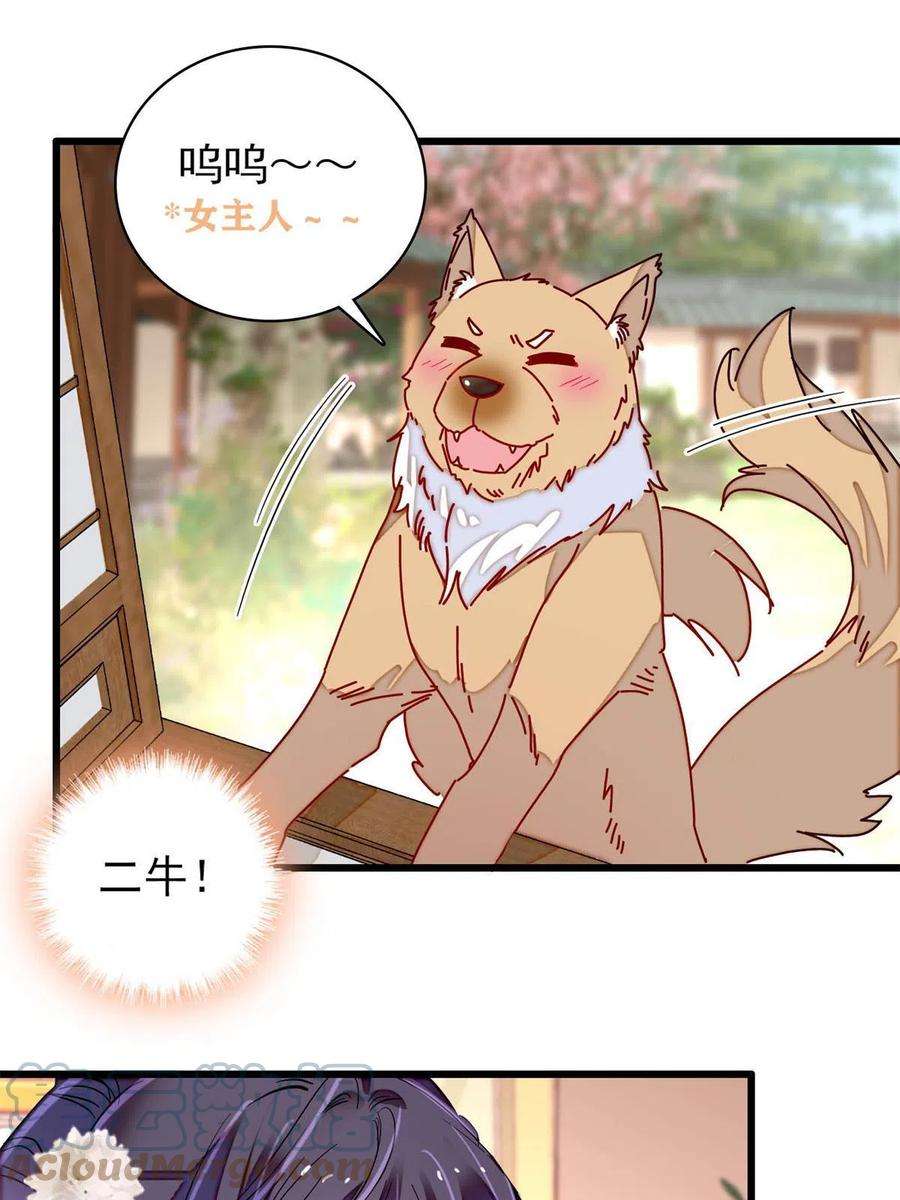 似锦231话 灵堂说媒