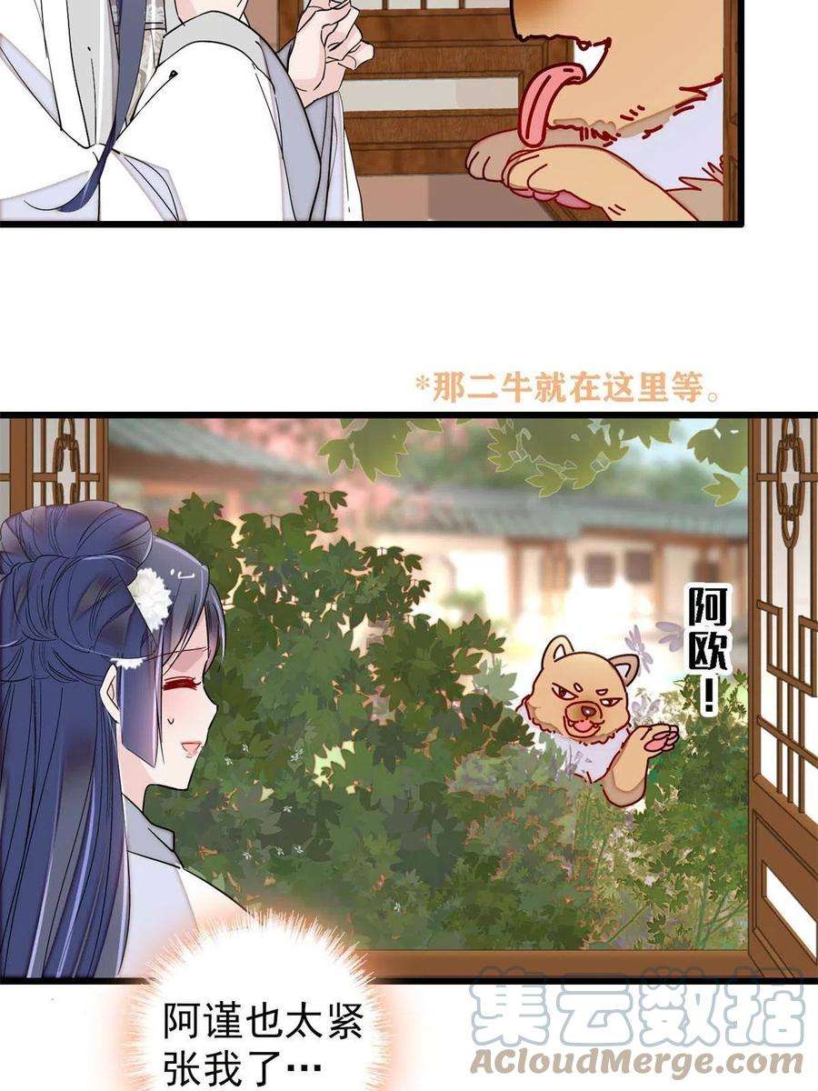 似锦231话 灵堂说媒
