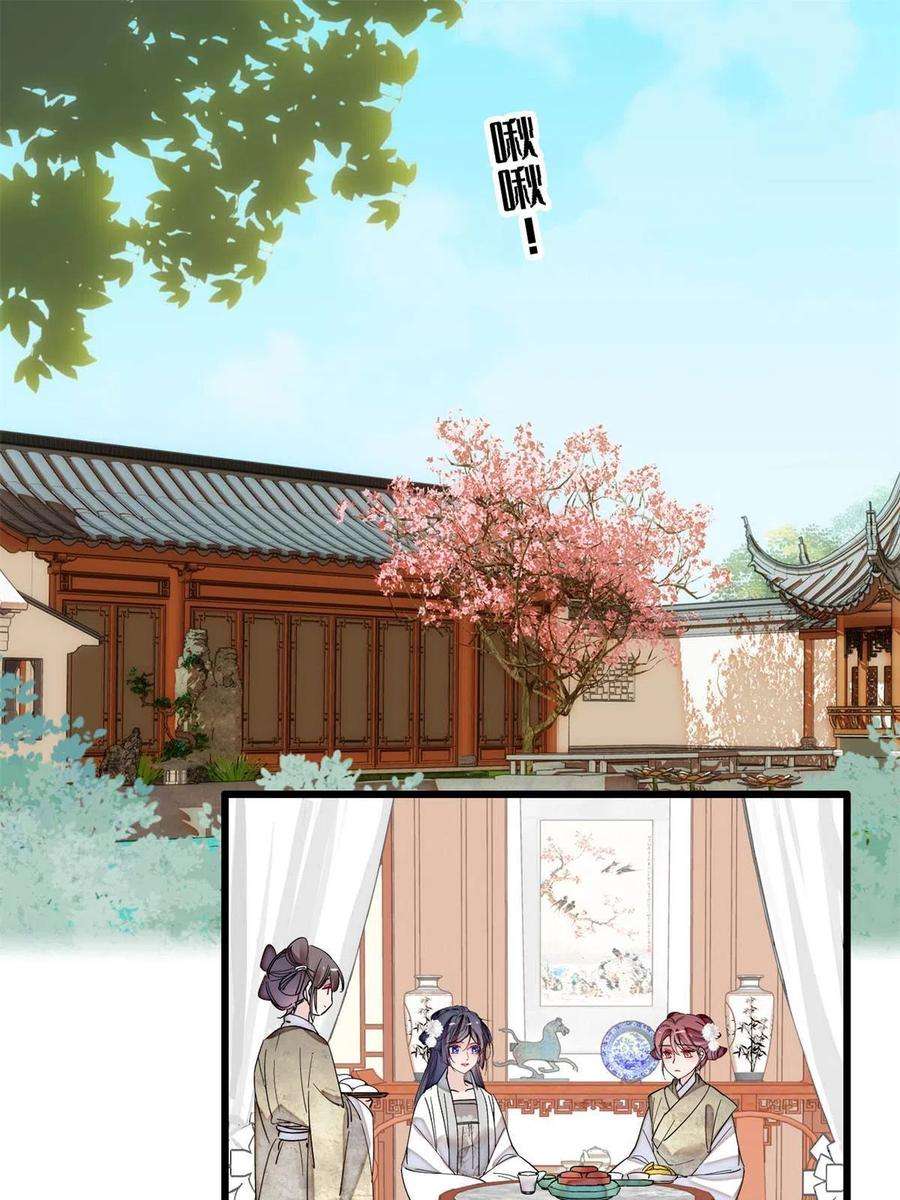 似锦231话 灵堂说媒
