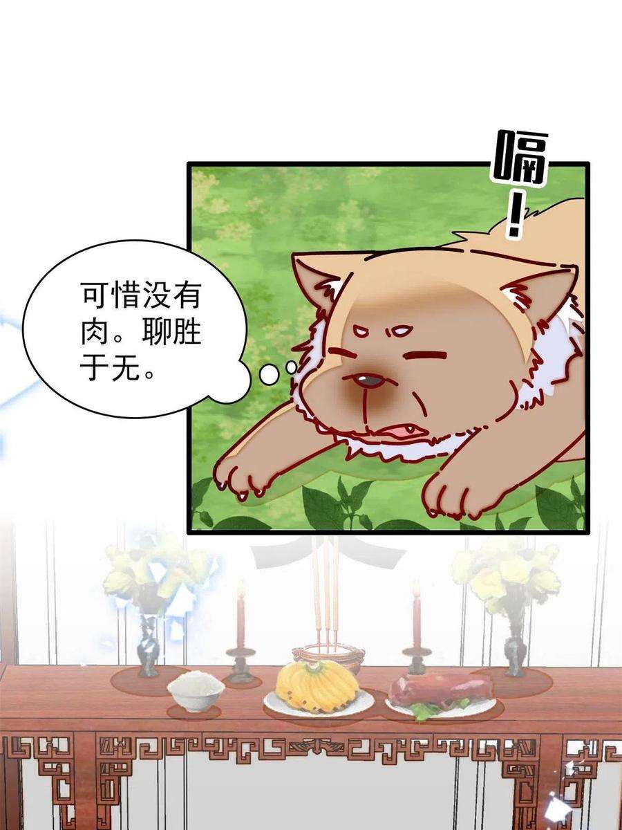 似锦231话 灵堂说媒