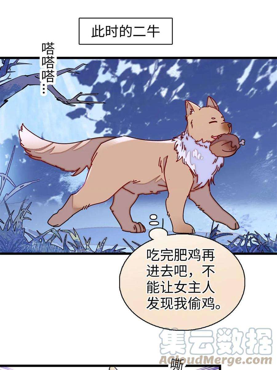 似锦233话 你全家都妖怪！