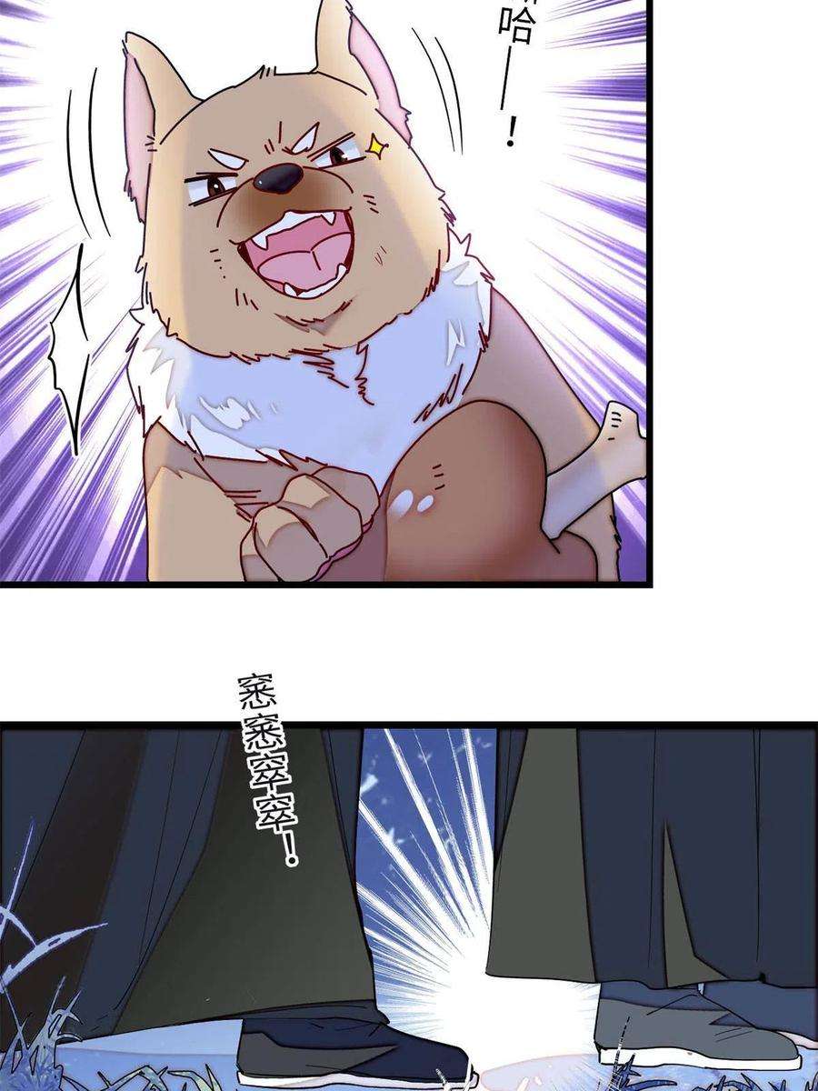 似锦233话 你全家都妖怪！