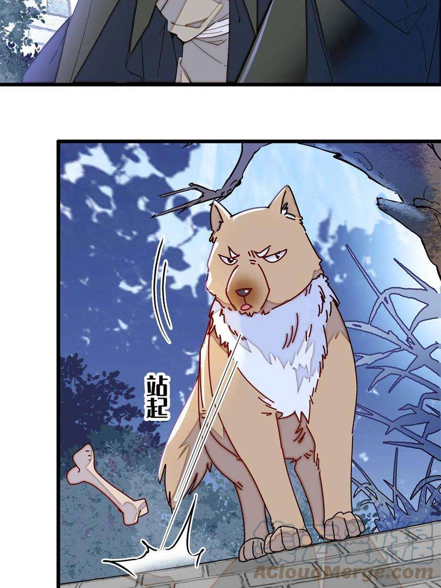 似锦233话 你全家都妖怪！