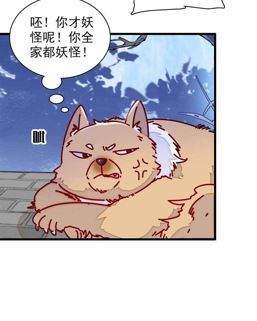 似锦233话 你全家都妖怪！
