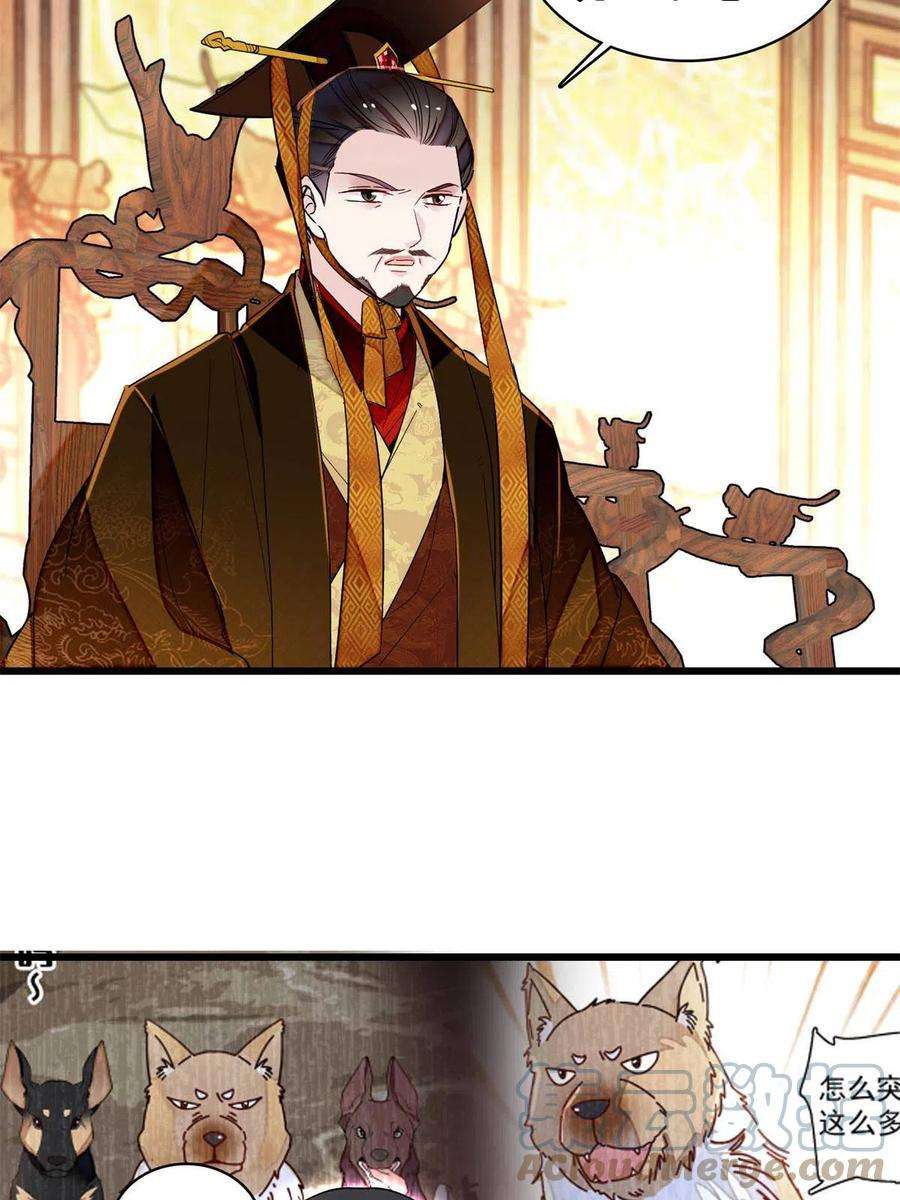 似锦235话 要生了！