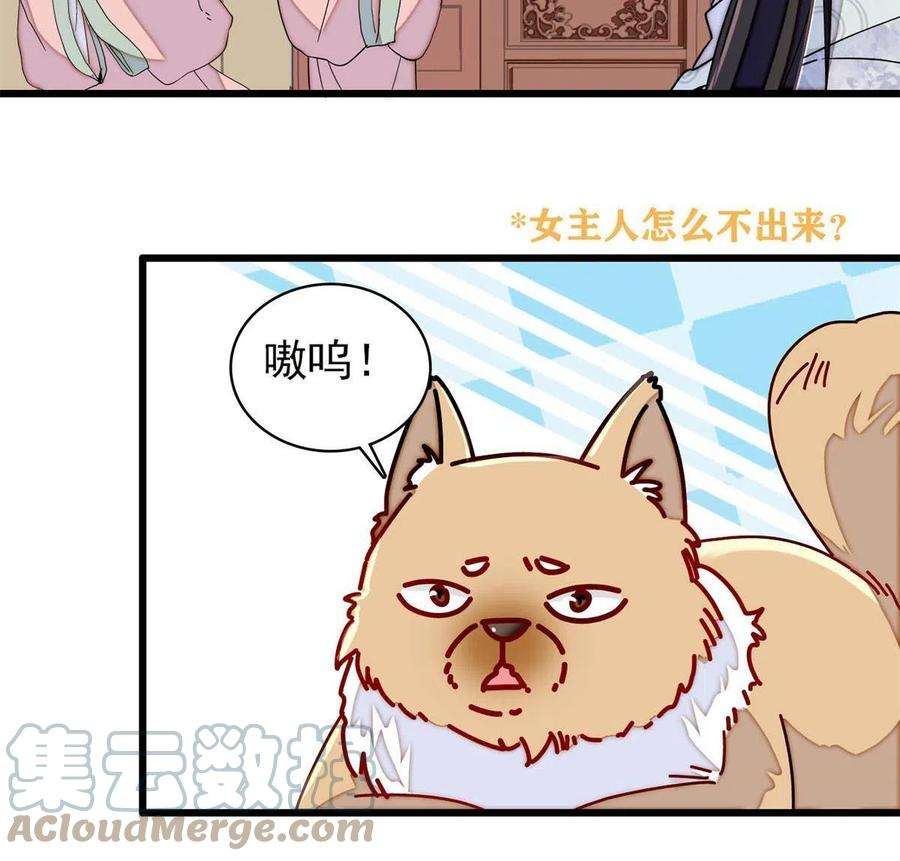 似锦235话 要生了！