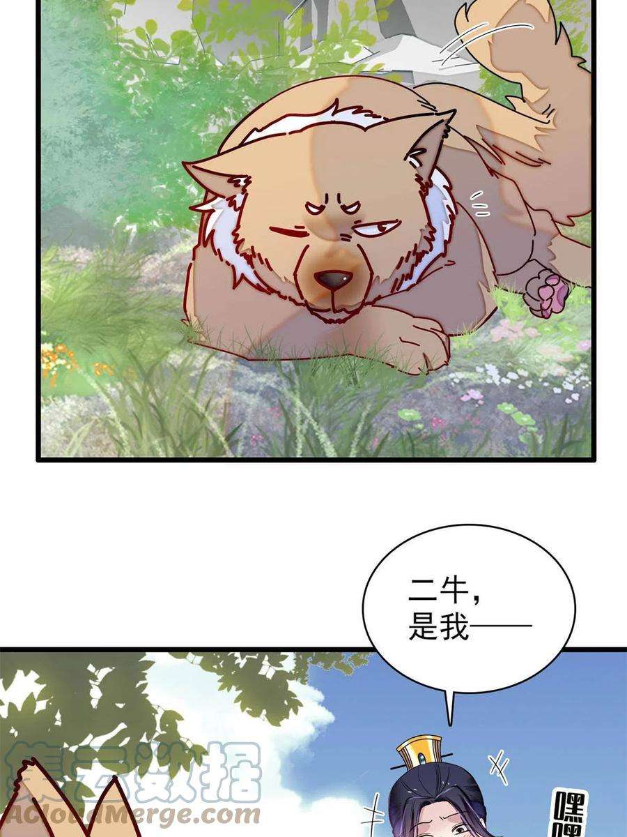 似锦237 本二牛是你配得到的吗！