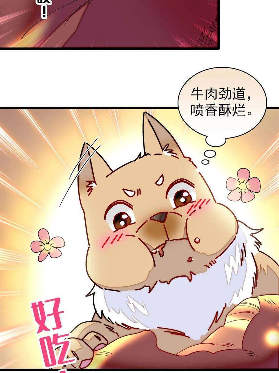 似锦237 本二牛是你配得到的吗！