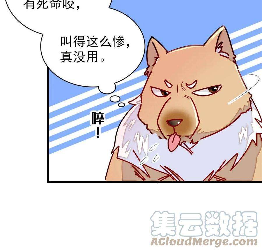 似锦237 本二牛是你配得到的吗！