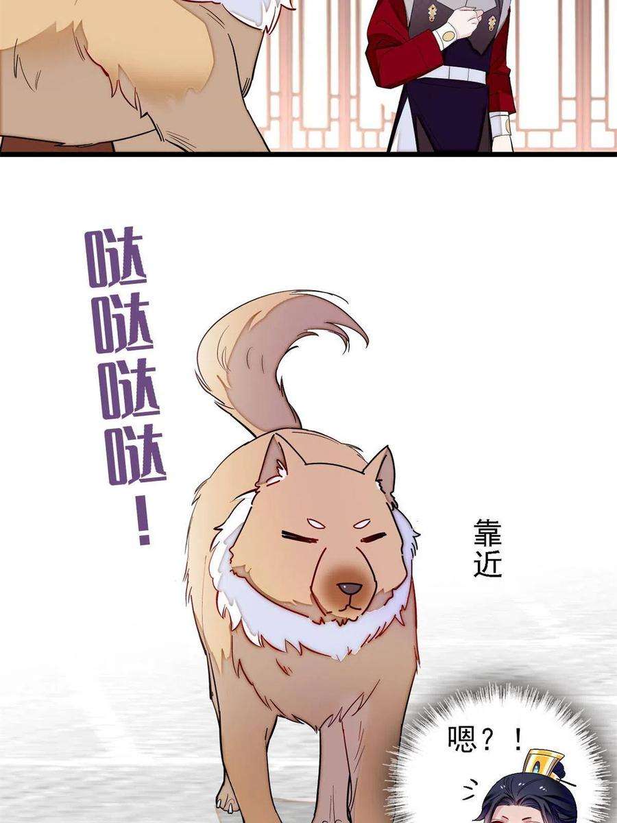 似锦238话 惦记我老婆？找死！