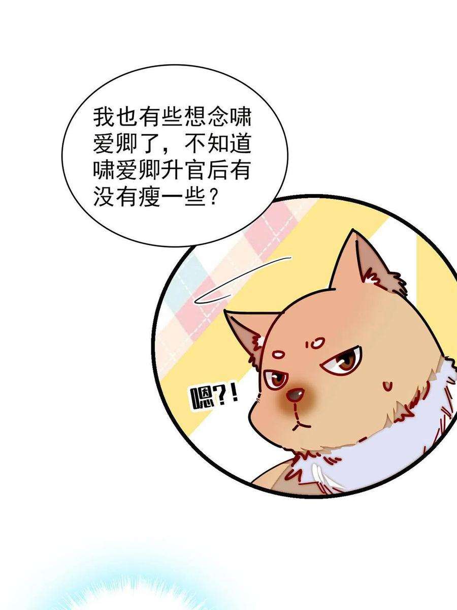 似锦246话 果然是装失忆！