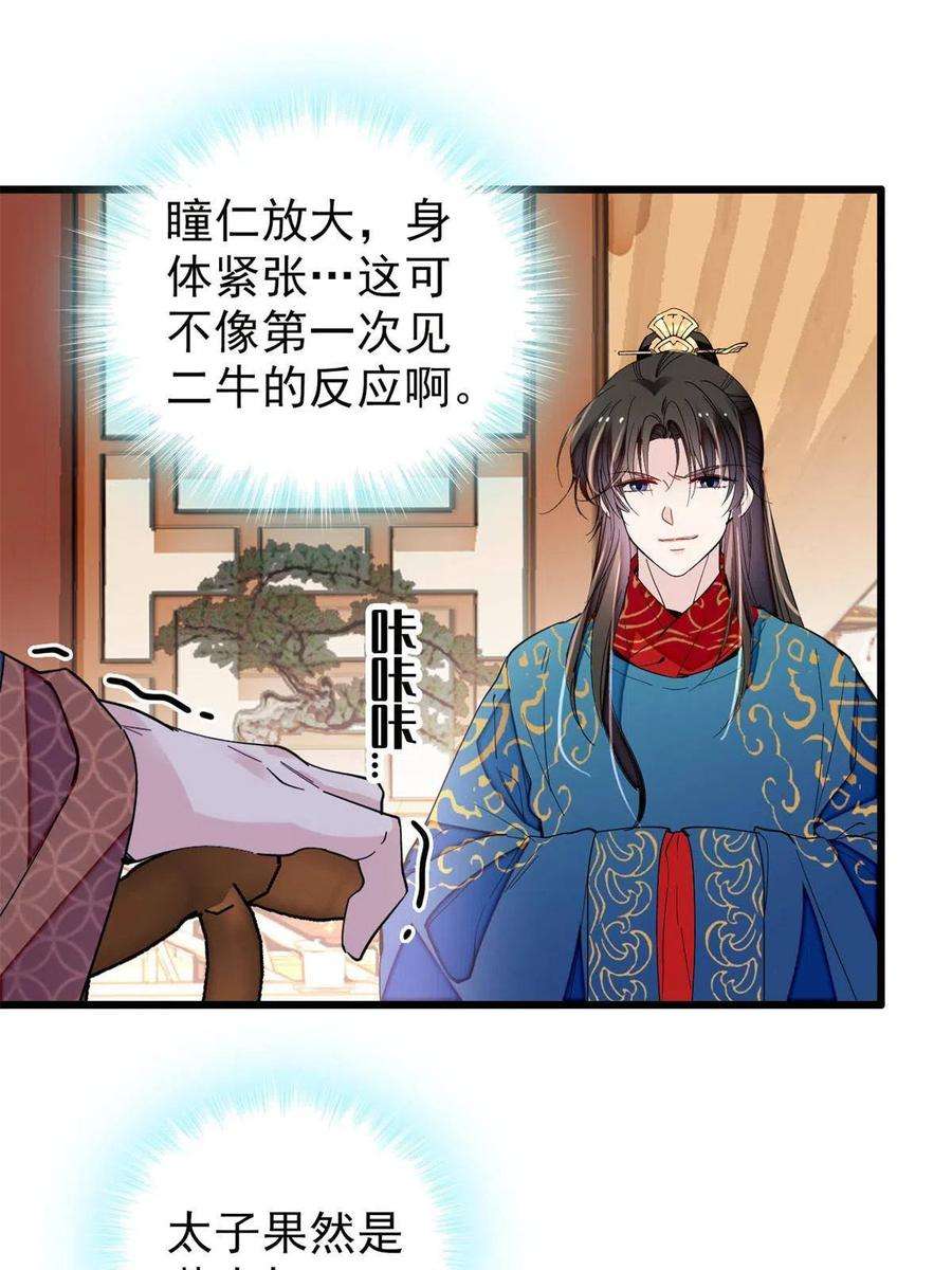 似锦246话 果然是装失忆！