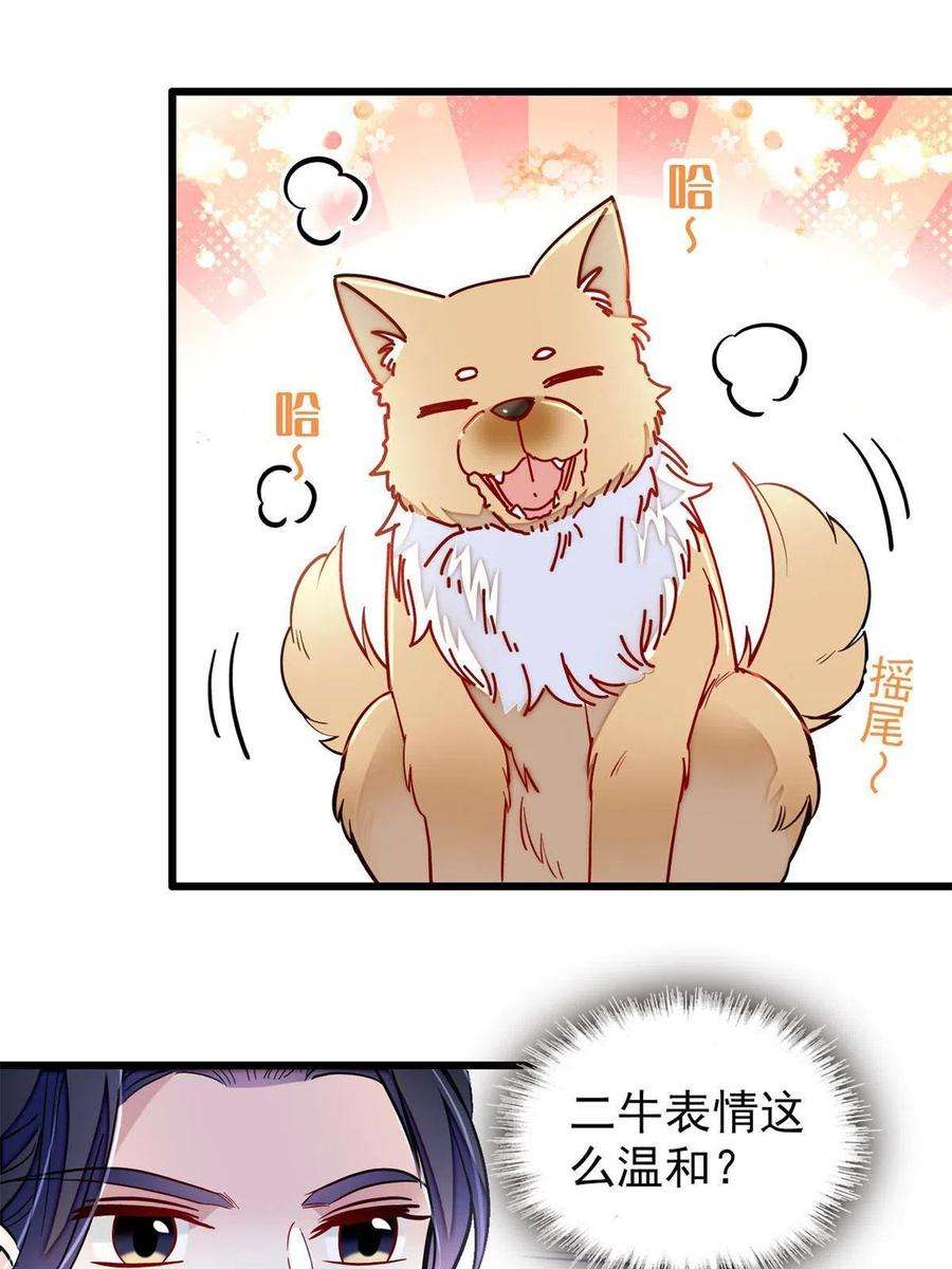 似锦247话 二牛让你现出原形！