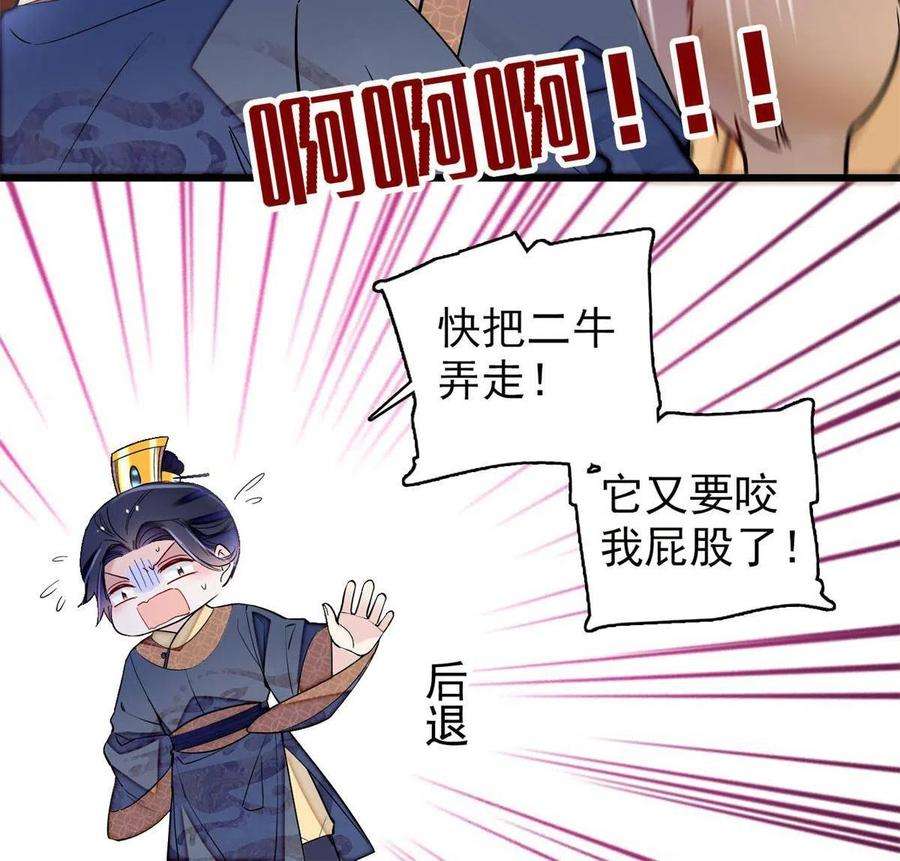 似锦247话 二牛让你现出原形！