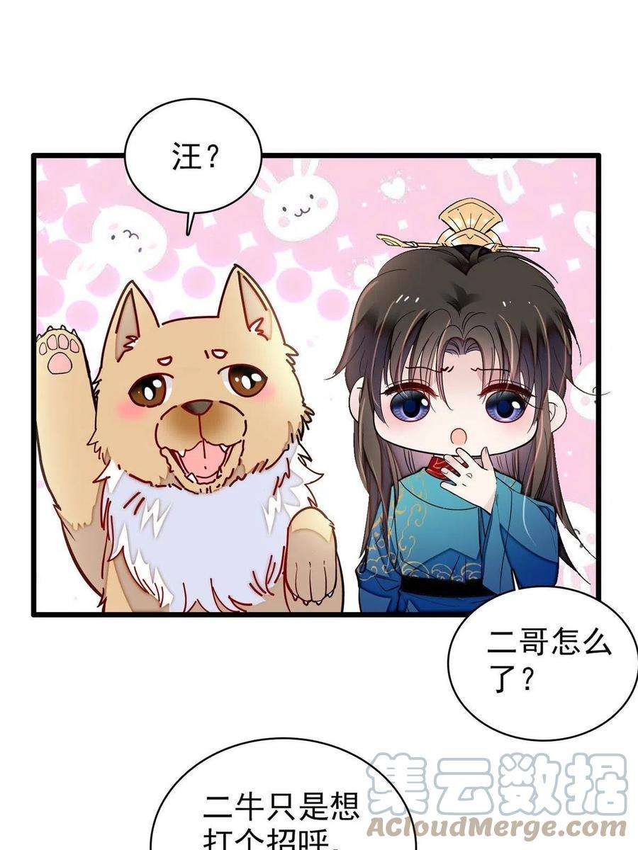 似锦247话 二牛让你现出原形！