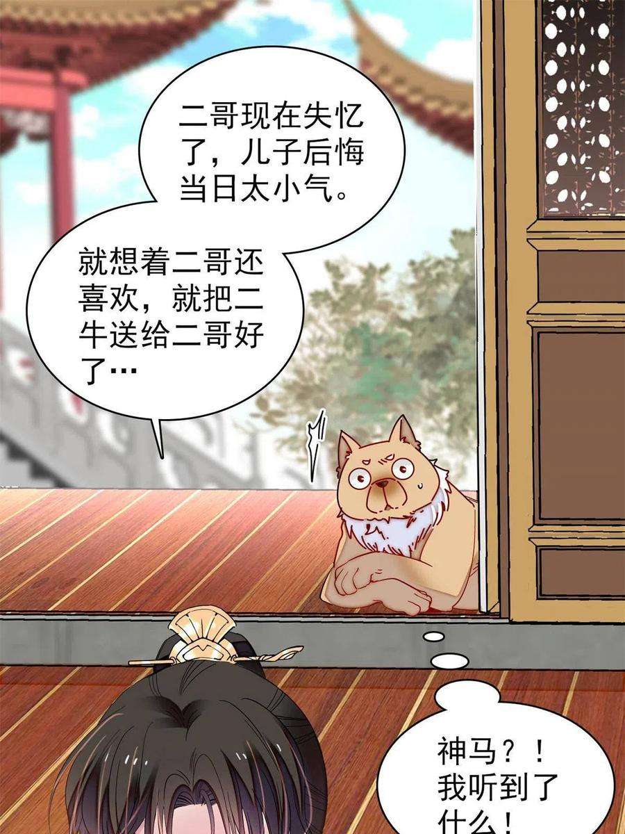 似锦248话 你是我唯一的心上人