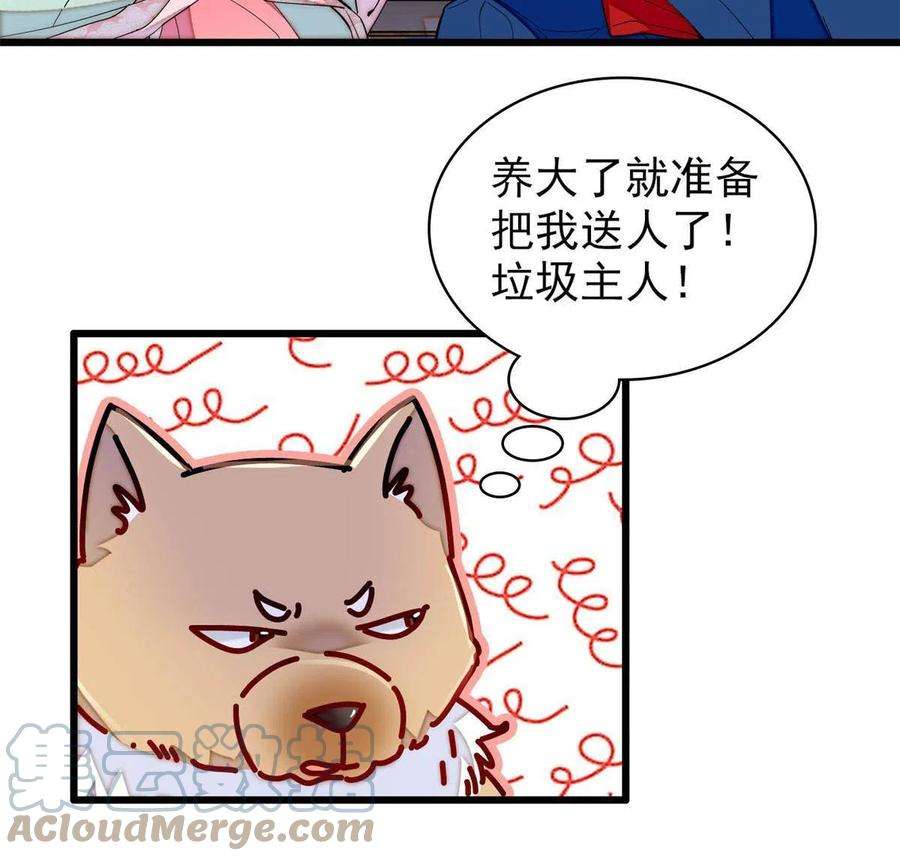 似锦248话 你是我唯一的心上人