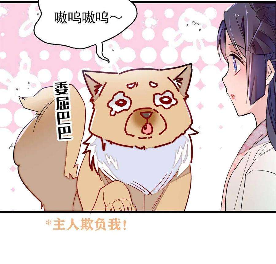 似锦248话 你是我唯一的心上人