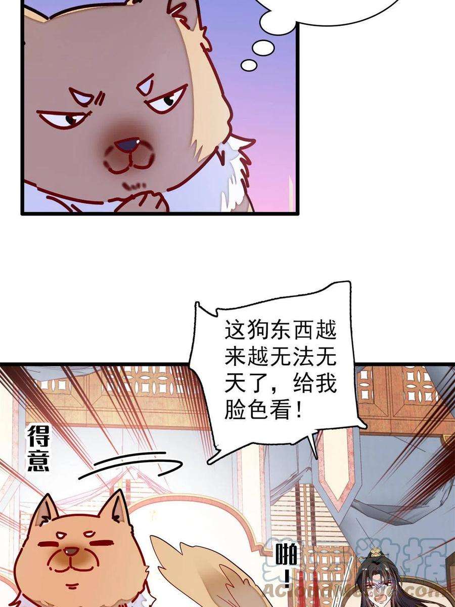 似锦248话 你是我唯一的心上人