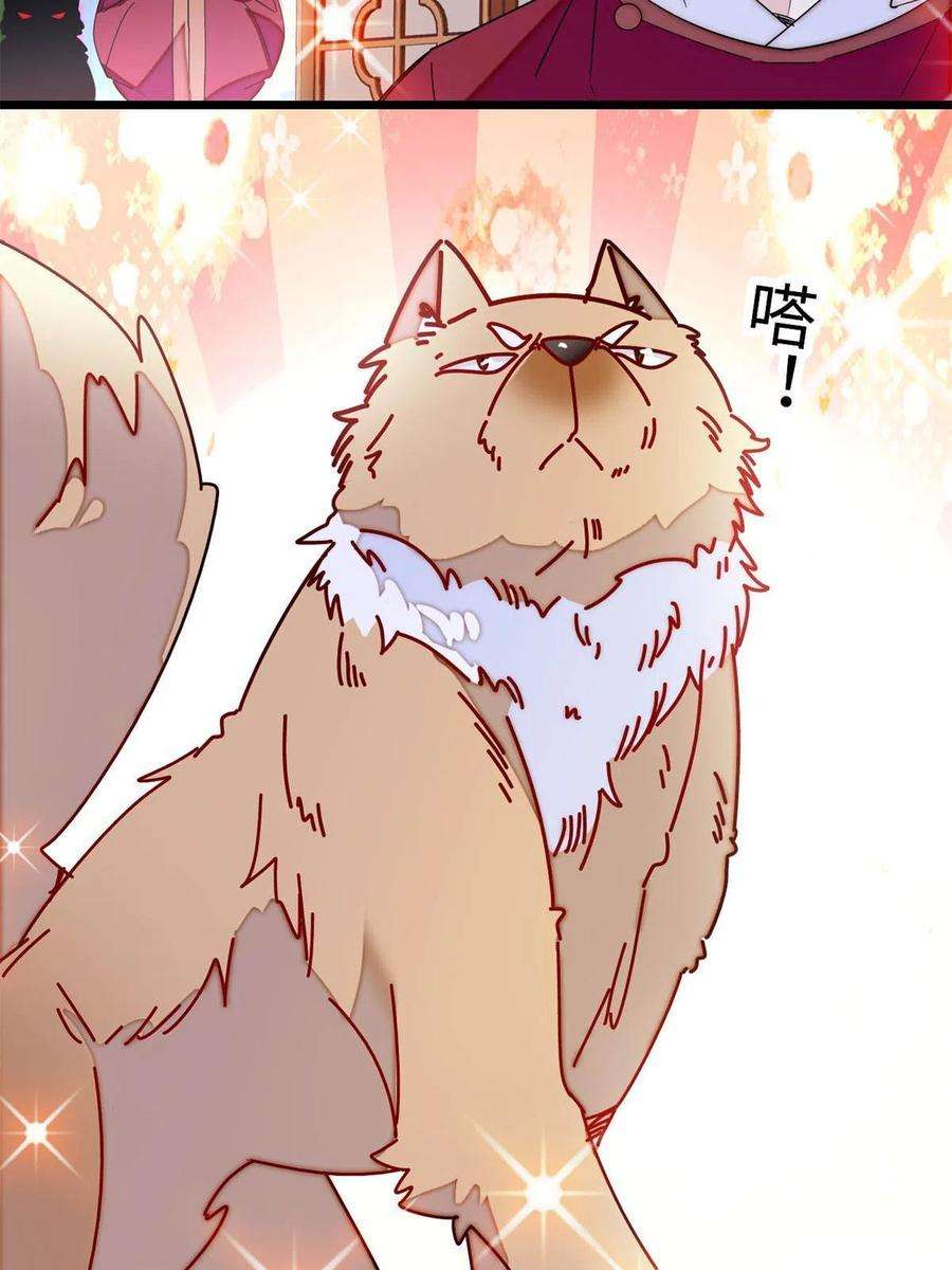 似锦257话 寻找偶人