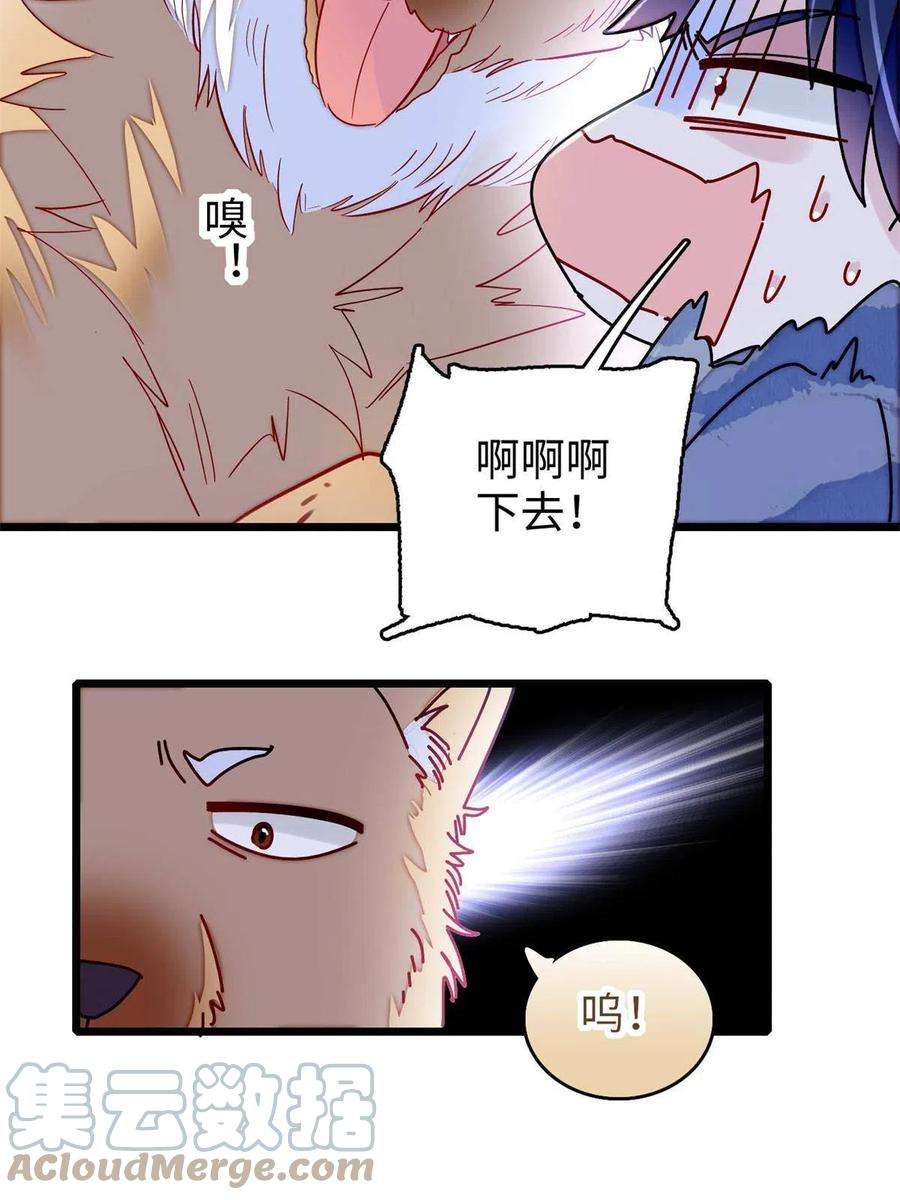 似锦257话 寻找偶人
