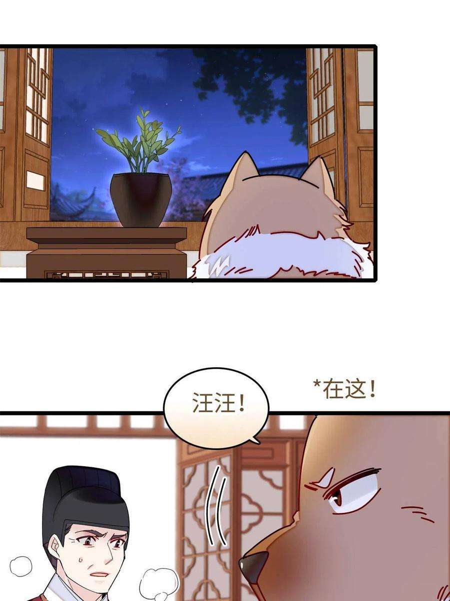 似锦257话 寻找偶人