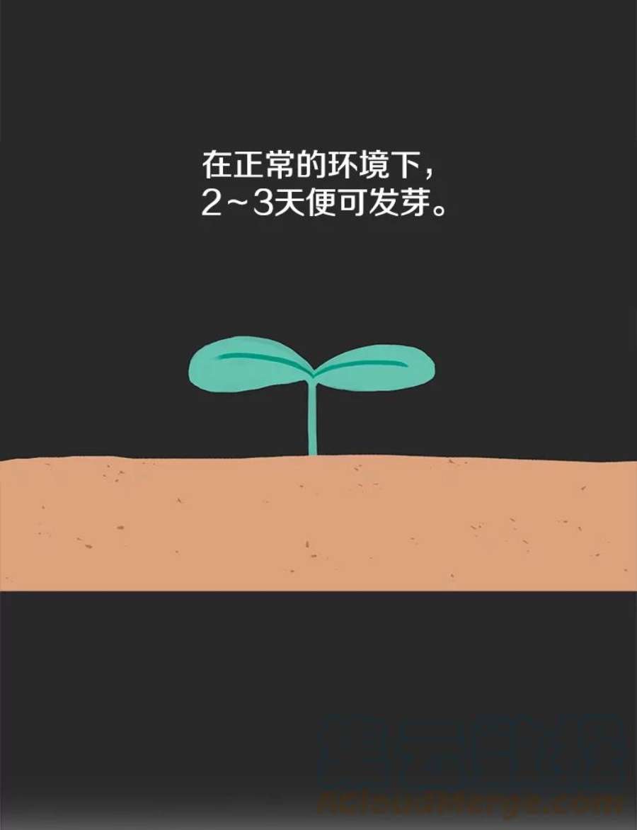 时间静止的房子5.时间