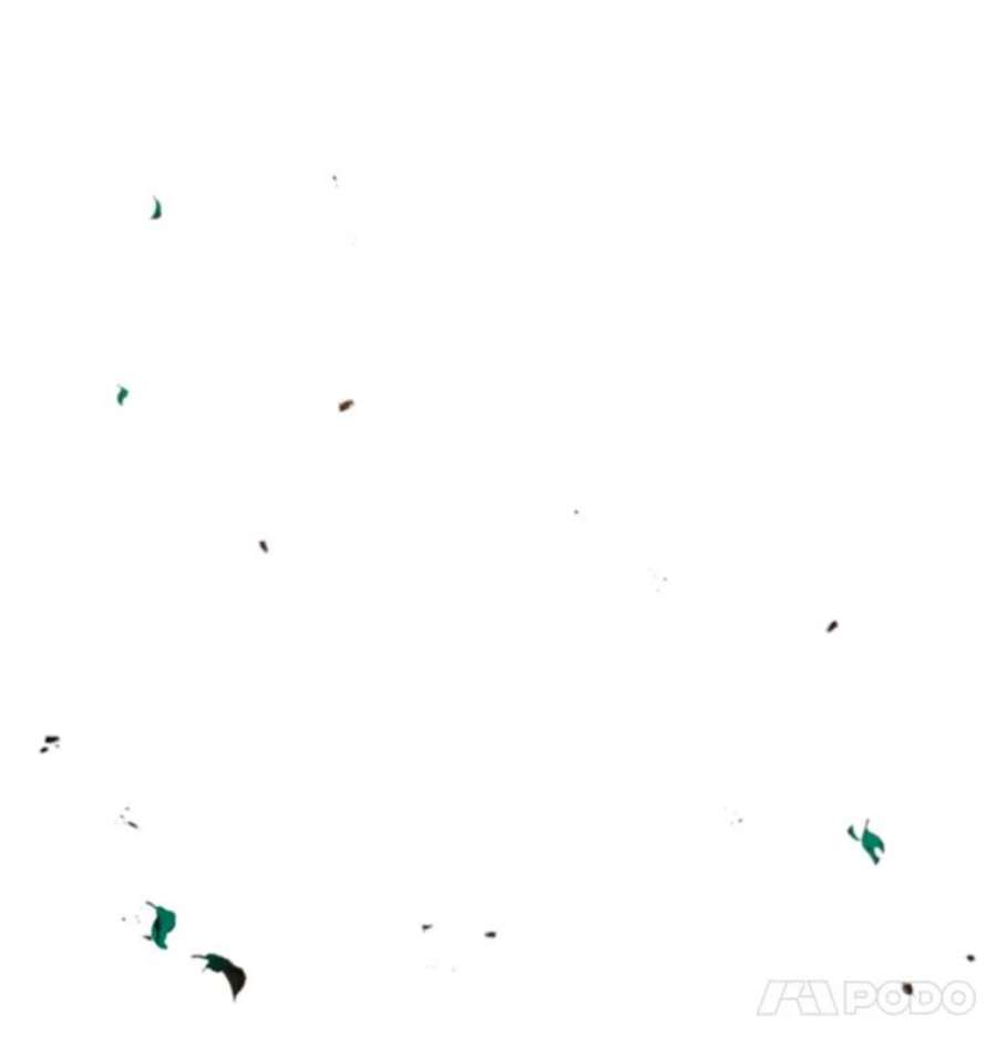 时间静止的房子10.被遗忘的勇士