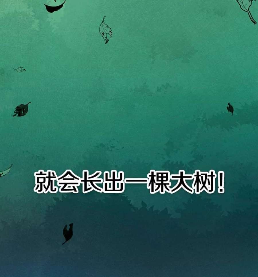 时间静止的房子26.大树
