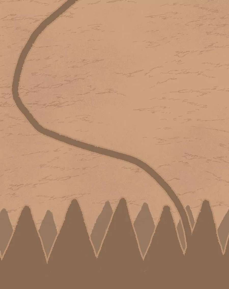 时间静止的房子32.精灵树林