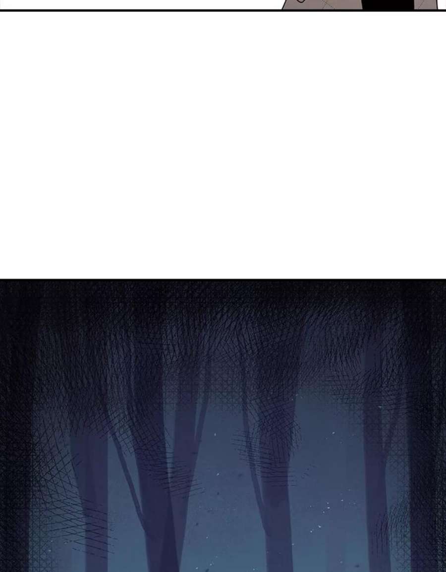 时间静止的房子32.精灵树林