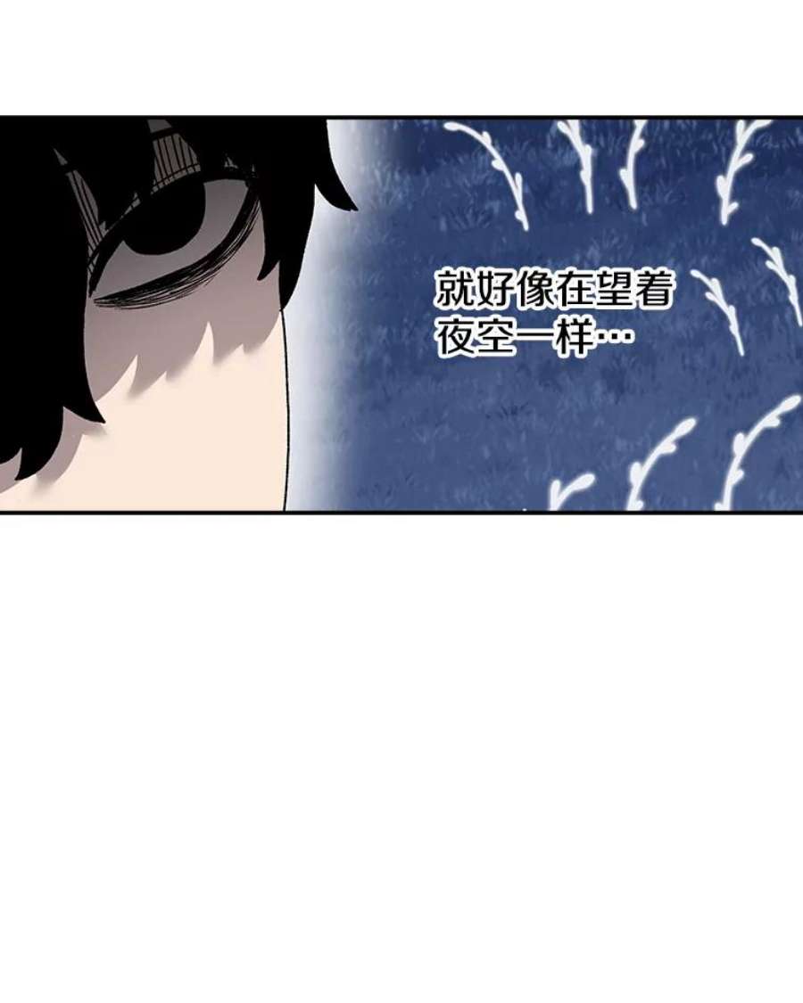 时间静止的房子36.踏入夜树林