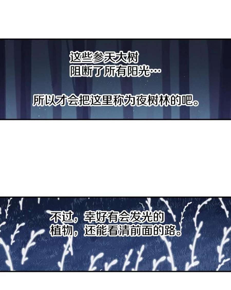 时间静止的房子36.踏入夜树林