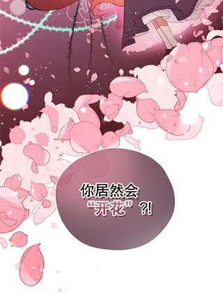 不可接近的女士0.序章