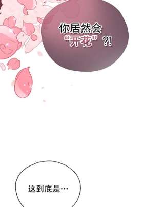 不可接近的女士2.再次重生