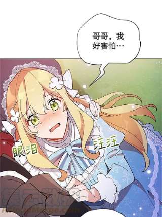 不可接近的女士2.再次重生