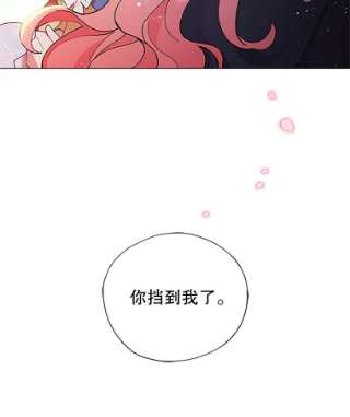 不可接近的女士2.再次重生