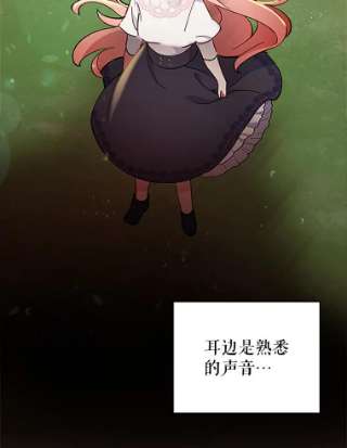不可接近的女士2.再次重生