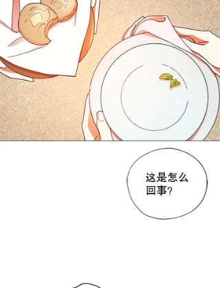 不可接近的女士3.早餐
