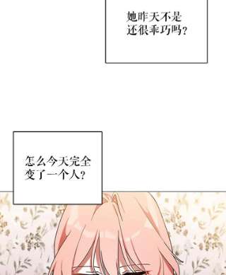 不可接近的女士4.小姐的改变