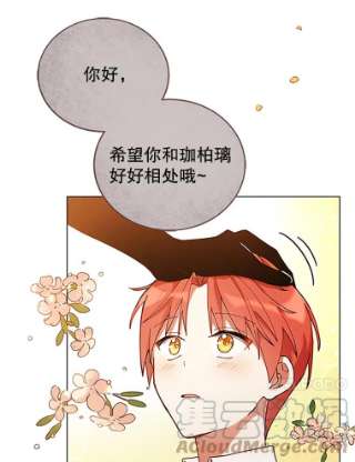 不可接近的女士5.跳楼