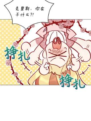 不可接近的女士7.教训