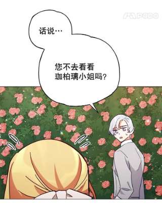 不可接近的女士7.教训