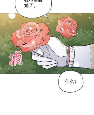 不可接近的女士7.教训